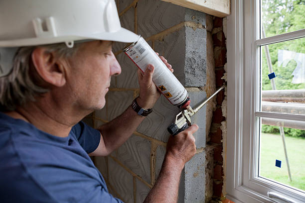 Best Blown-In Insulation  in Mercedes, TX